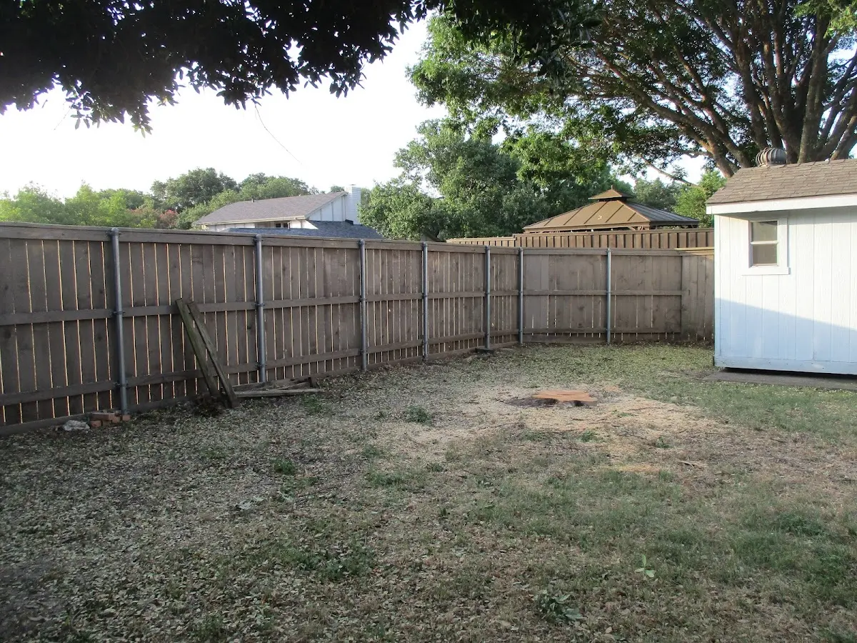 Cleared yard after professional tree removal in Sandersville